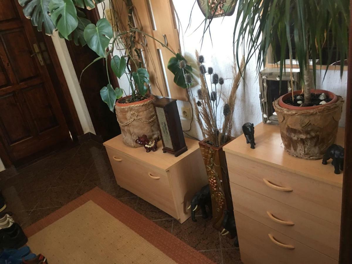 באר Apartmani Miljana מראה חיצוני תמונה
