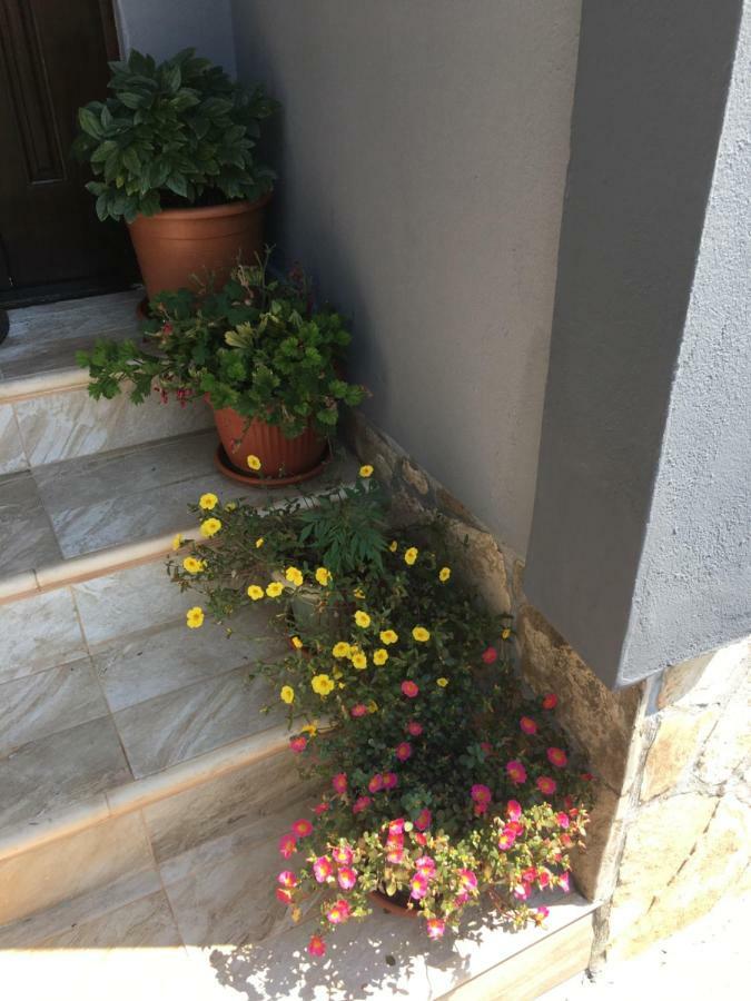 באר Apartmani Miljana מראה חיצוני תמונה