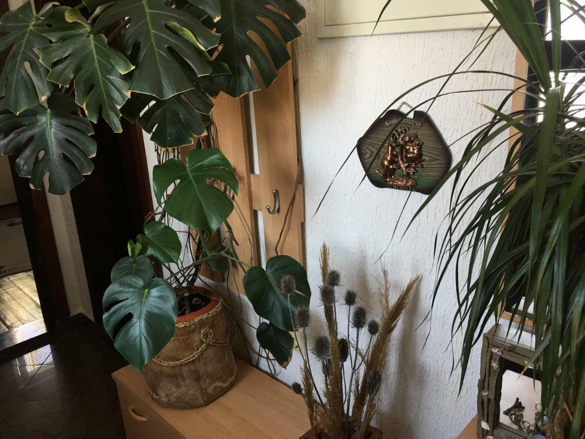 באר Apartmani Miljana מראה חיצוני תמונה